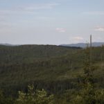 Gerade-noch-drüber-Blick