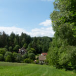 Wanderweg auf der Wiese