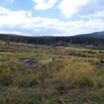 Brennetfilz mit Ždánidla