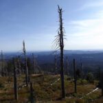 Kleinrachelpanorama nach Süden