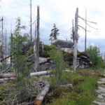 Noch nicht der Bayerische Plöckenstein