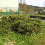 Kurzgehalten Kurzgehalten