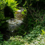 Sonnenspiegelung im Fahrbach