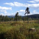 Na shledanou Poledník