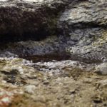 Stubenbacher Pfütze