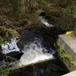 Mehr Wasser verbleibt allerdings im Bach