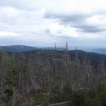 Mühlviertelpanorama