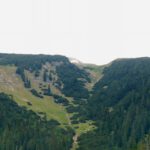 Schäferblasse (fast) ohne Wolken