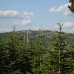 Moorkopf, oder sollte ich ihn von dieser Seite als Malá Mokrůvka bezeichnen? Moorkopf, oder sollte ich ihn von dieser Seite als Malá Mokrůvka bezeichnen?