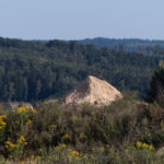 Das Matterhorn von Hauzenstein