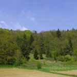 Es gibt im Jura auch vereinzelt sanfte Hänge