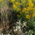 Blütendreifaltigkeit