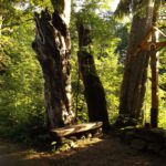 Heiliger Ort für Christen und Heiden