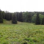 Nicht-ganz-so-hoch-Moor