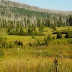 Sanfter Talboden Sanfter Talboden