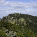 Rückblick zum großen Bruder