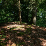 Nicht wirklich was zu sehen