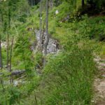 Damm durchs Steinerne Meer