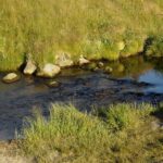 Luzenský potok Luzenský potok