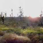 Sonnensitz auf dem westlichen Kammgipfel