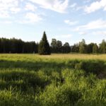 Nördliche Grenzauen