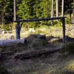 Wer spielt denn hier Fußball? Füchse gegen Hasen?