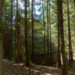 Halbwegs verstecktes Fortshaus