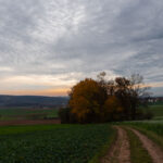 Die Stimmung wird abendlich