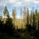 Lichtgrenzen Lichtgrenzen