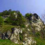 Brutgebiet, deshalb ist in diesem Bereich von Januar bis Juli Kletterverbot