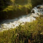 Modravský potok in der Abendsonne Modravský potok in der Abendsonne