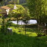 Lohberger Dorfweiher