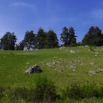 Überall liegen Felsen herum