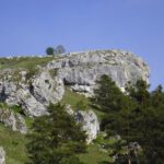 Versteinertes Nashorn neben einem schlafenden Löwen