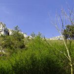 Gesamtpanorama. Von unten hat es geklappt.