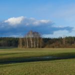 Man wird den Eindruck nicht los, dass hier vor Kurzem Hochwasser war