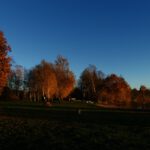 Herbstfarben am Badeplatz